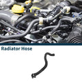 Radiator Hose OEM Replacement for BMW M2 (2016–2018)