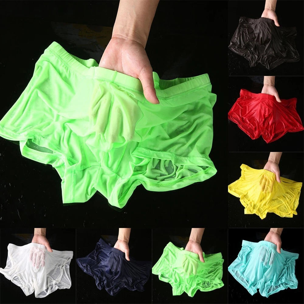 2X Sheer Mesh Boxer Briefs for Men - See Through Trunks