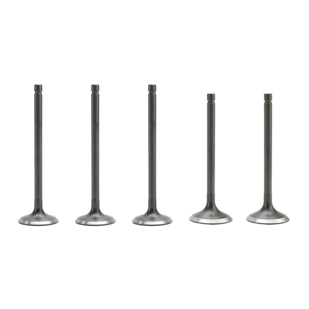 Intake & Exhaust Valves Kit for Yamaha Grizzly Raptor Rhino 660 (2001–2008)