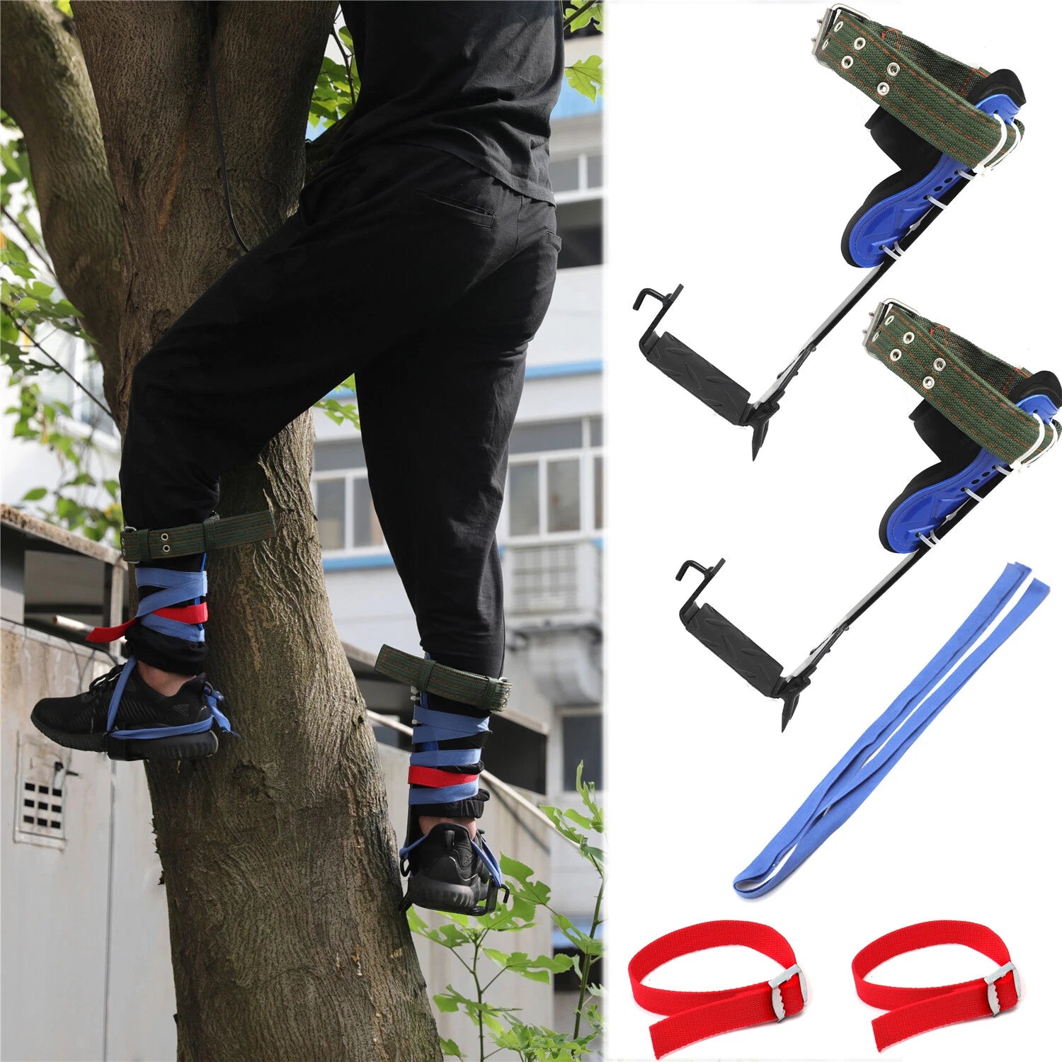 Tree Climbing Spike Set with Adjustable Belt and Lanyard