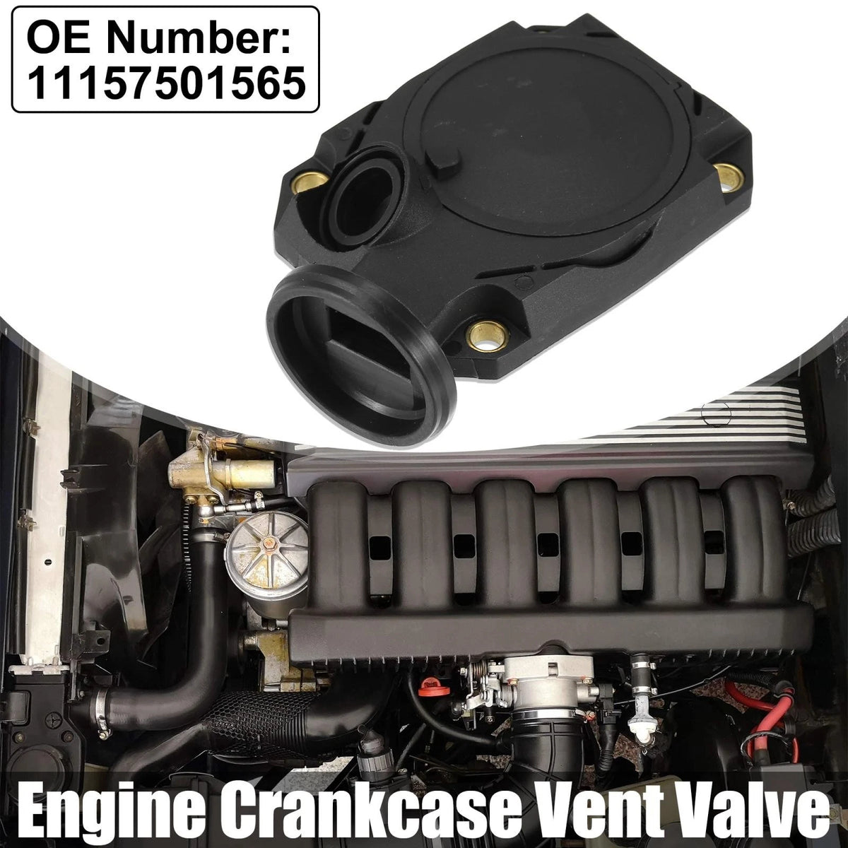 Crankcase Vent Valve Replacement for BMW 750iL and 850Ci (1995–2001)