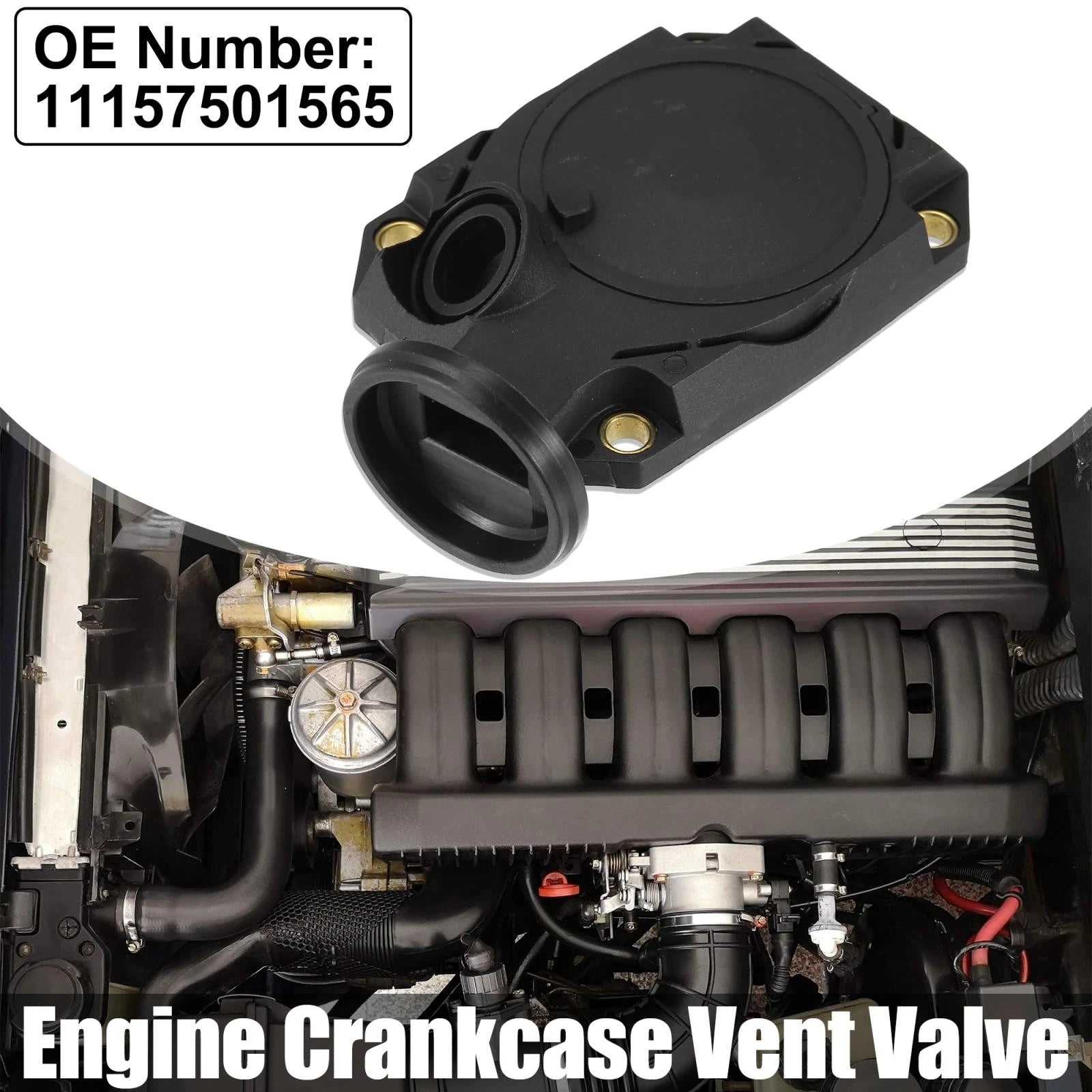Crankcase Vent Valve Replacement for BMW 750iL and 850Ci (1995–2001)