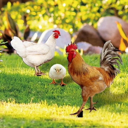 Acrylic Chicken Stake for Garden Decoration Installation