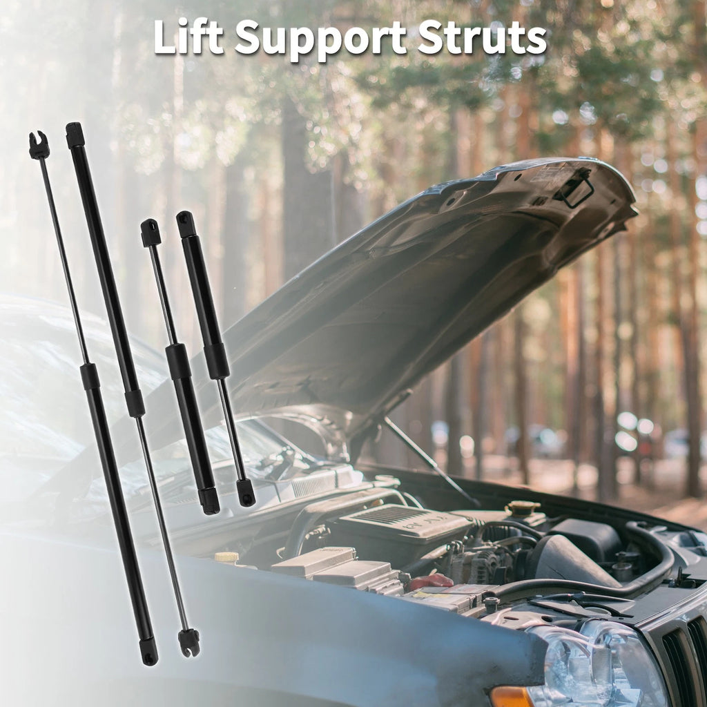 Front Hood and Tailgate Lift Supports Struts Set for Dodge Intrepid (1998–2004)