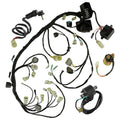 Wiring Harness Starter Relay for Honda Rincon 650 TRX650FA (2003–2005)