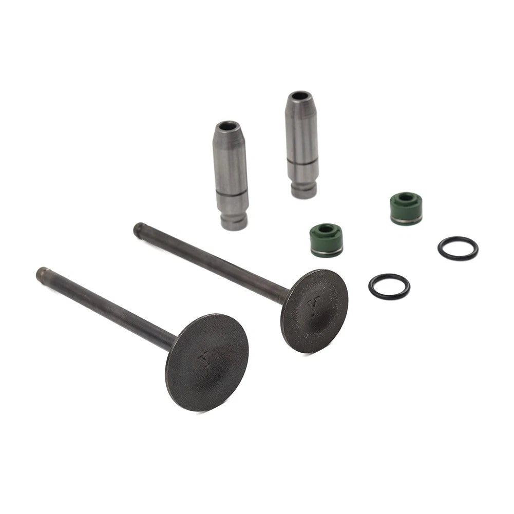 Intake Exhaust Valve Stem Guide Seal for Suzuki DR125 DRZ125 DF125 (2000–2023)