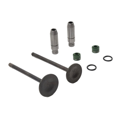 Intake Exhaust Valve Stem Guide Seal for Suzuki DR125 DRZ125 DF125 (2000–2023)