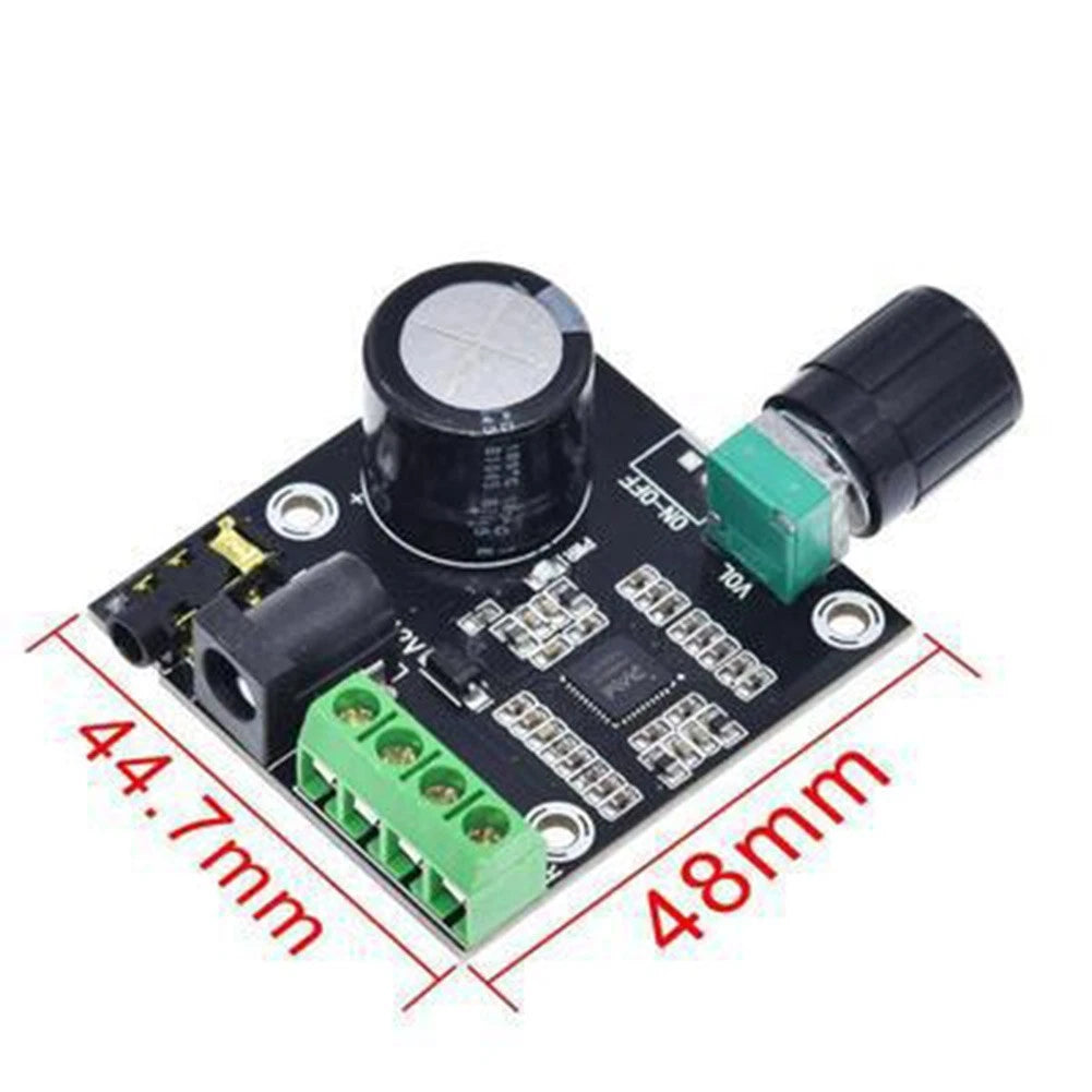 Dual Channel Amp Board for 12V Power Supply (Class D)