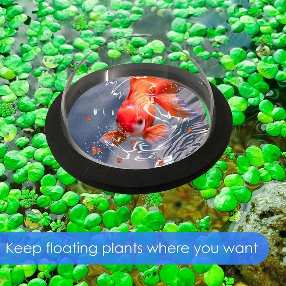 Acrylic Fish Enclosure for Outdoor Use