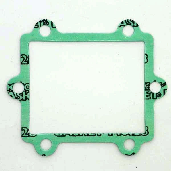 WSM Gasket for