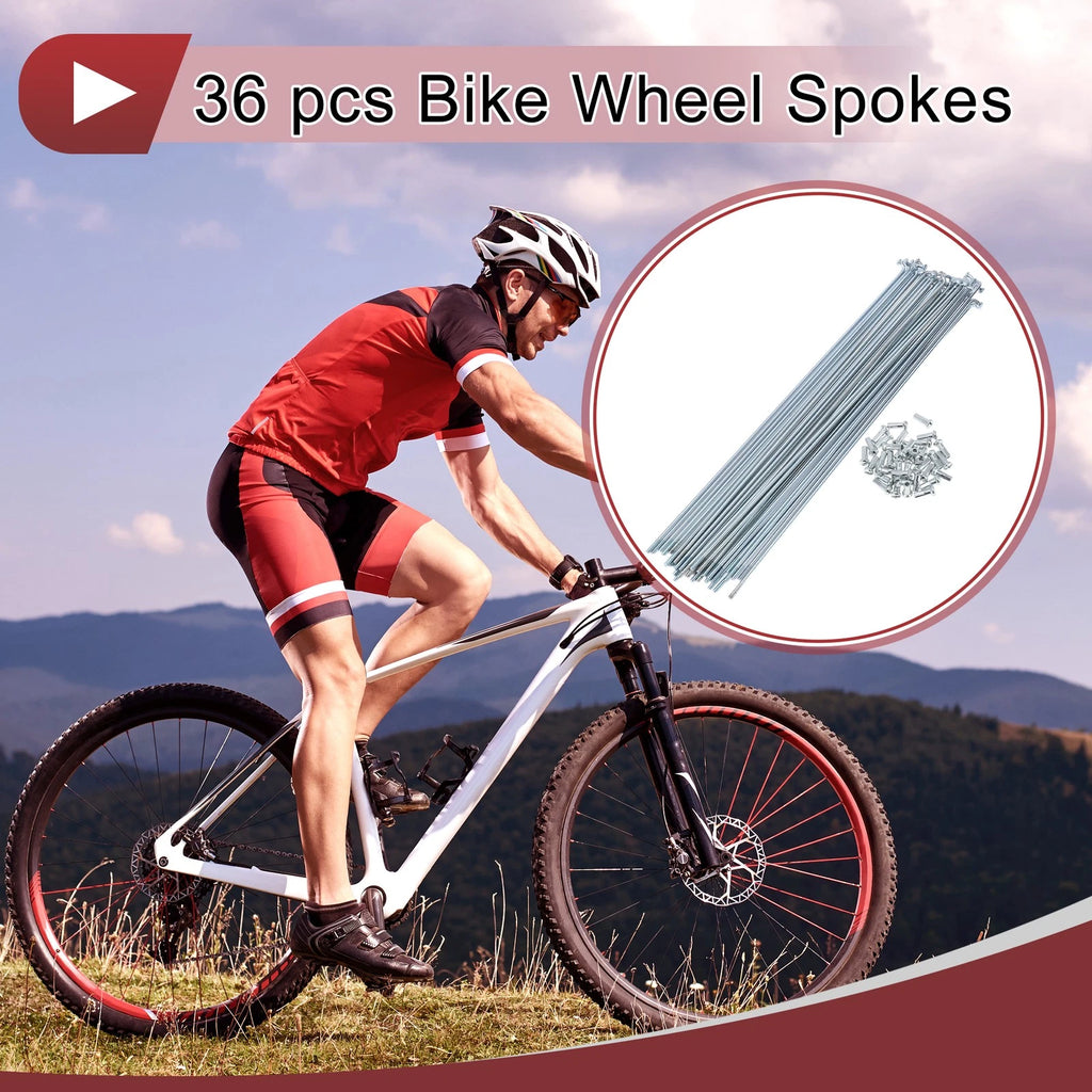 Bicycle Spokes Set 243mm Galvanized for 13G Wheels