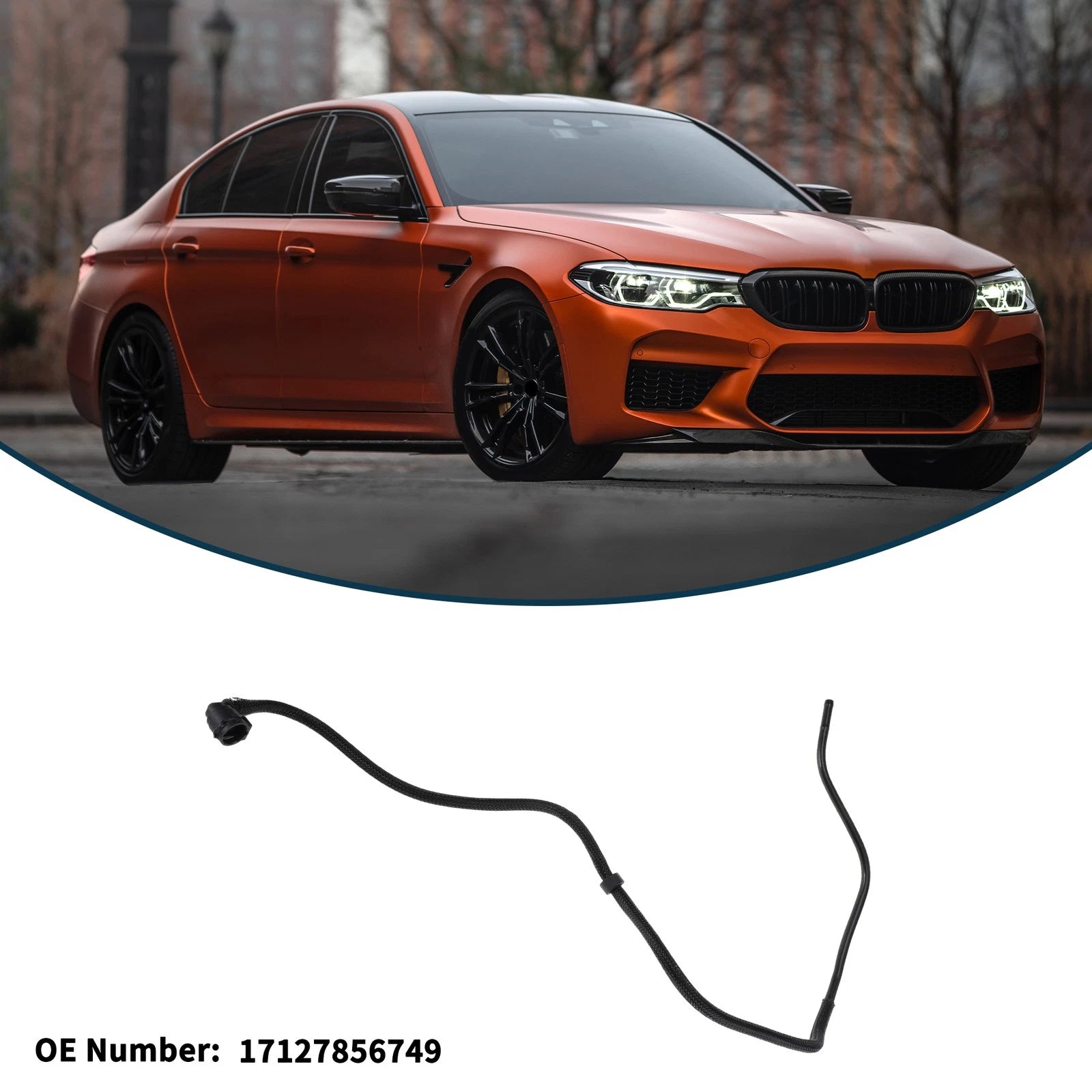 Radiator Hose for BMW 5 Series G30 M5 (2018–2020) Coolant Pipe OEM