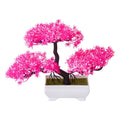 Faux Pine Tabletop Plant for Office Corner (25x18 cm)