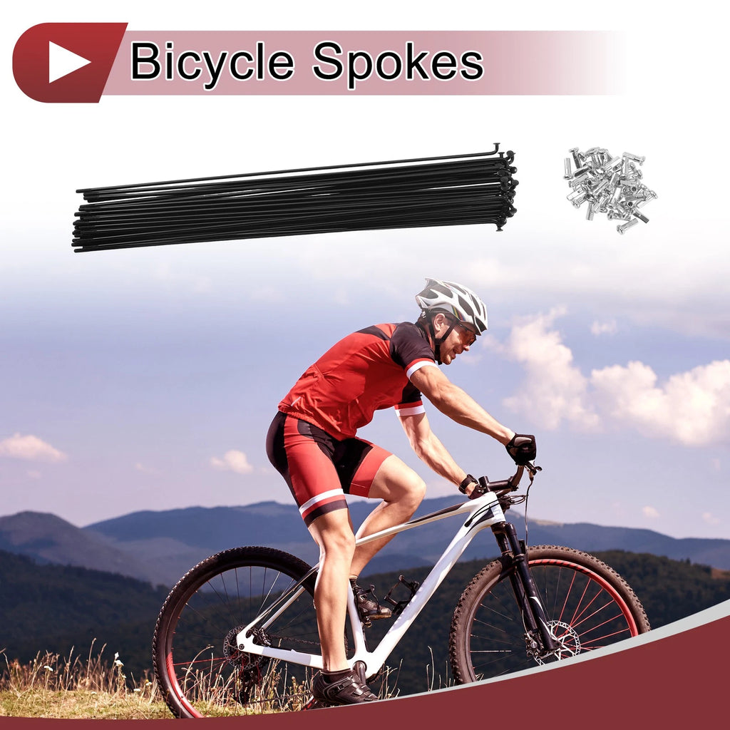 Bicycle Spoke Set 234 mm Carbon Steel for 36 Hole Wheel (2005–2015)
