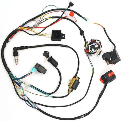 Ignition Coil Wire Harness for ATV (Pre-assembled)
