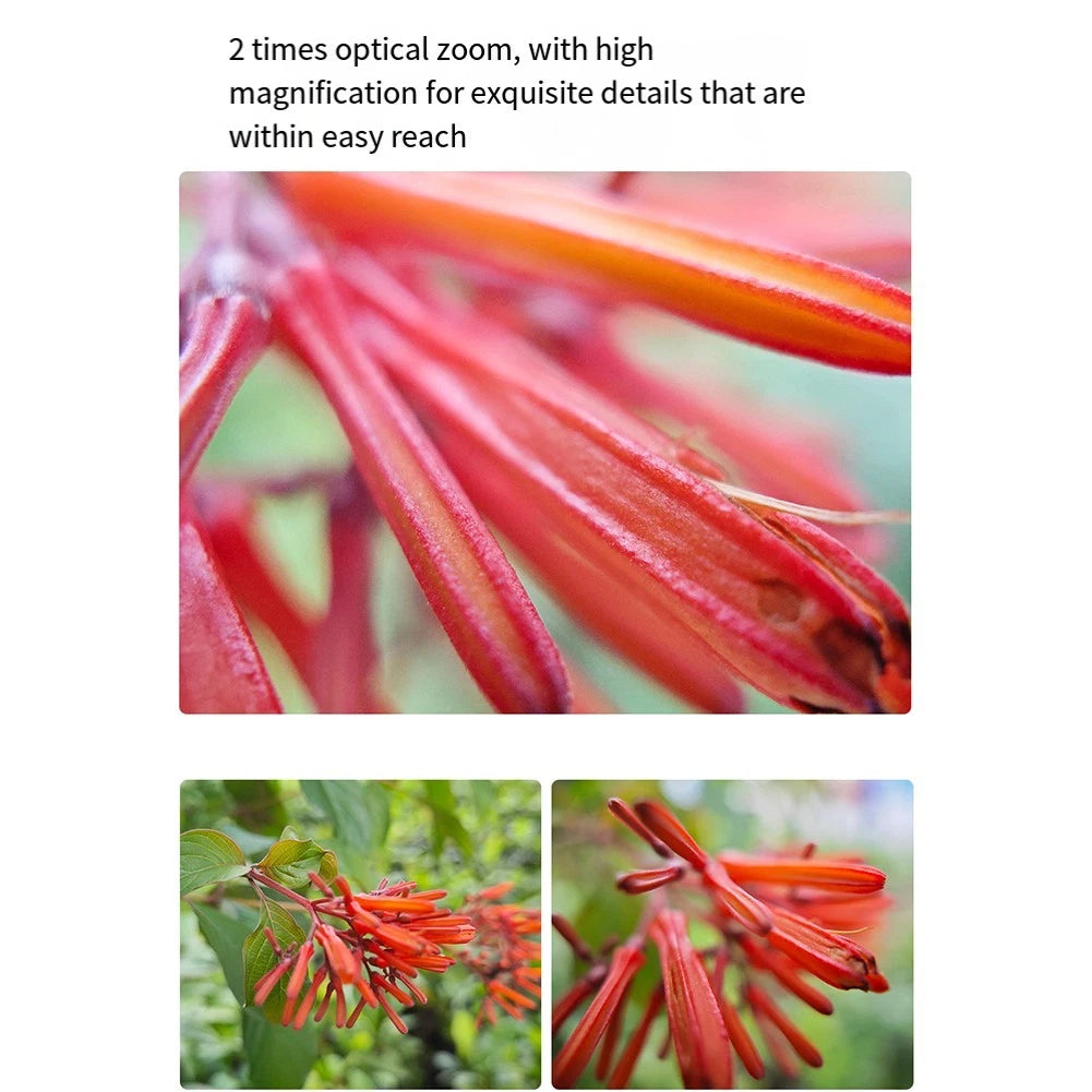 15-45mm Macro Lens for Close-Up Photography