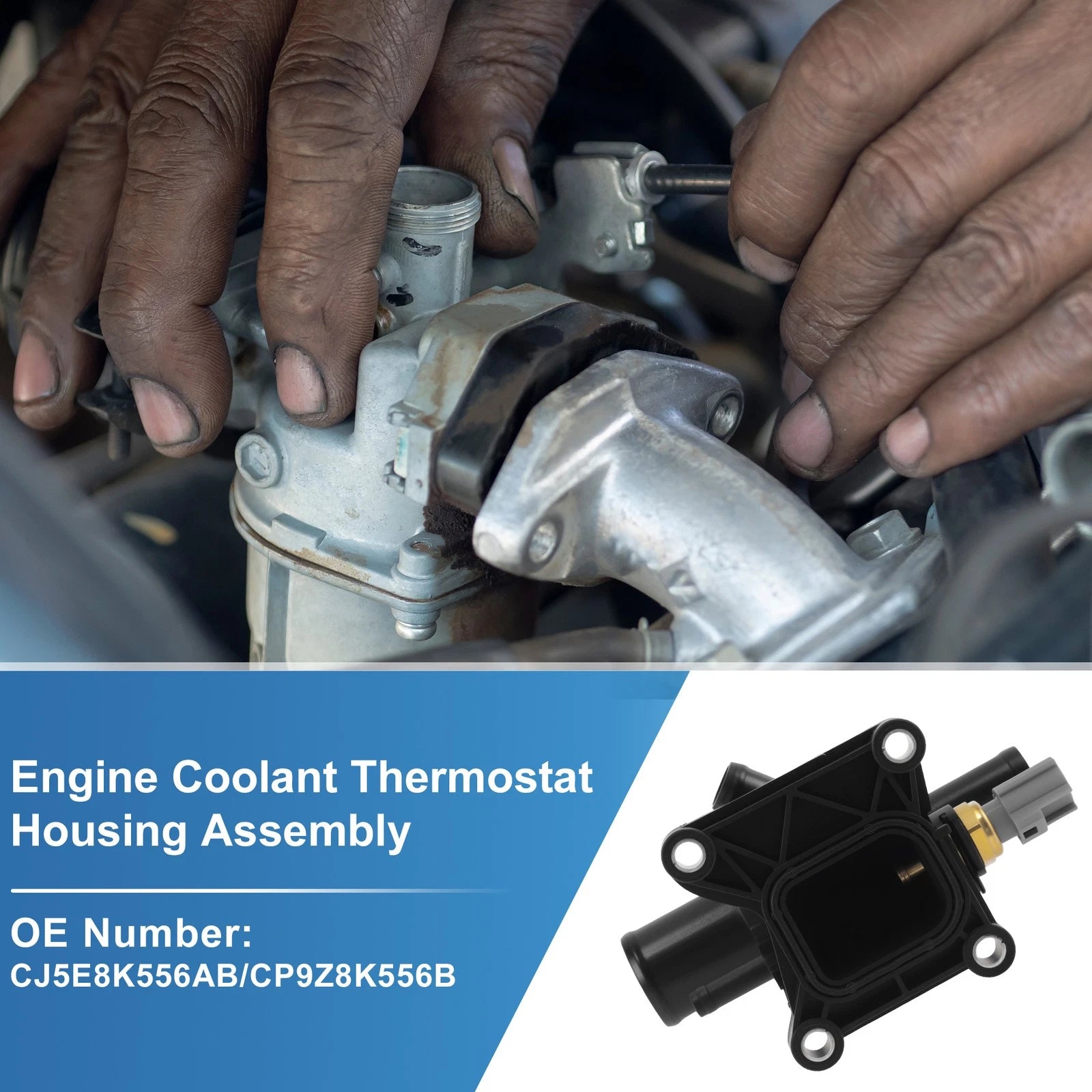Engine Coolant Thermostat for Ford Focus 2.0L L4 (2012–2018) CJ5E8K556AB