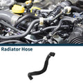 Radiator Hose Replacement for BMW 740Li 2013–2015 Rubber Coolant Pipe