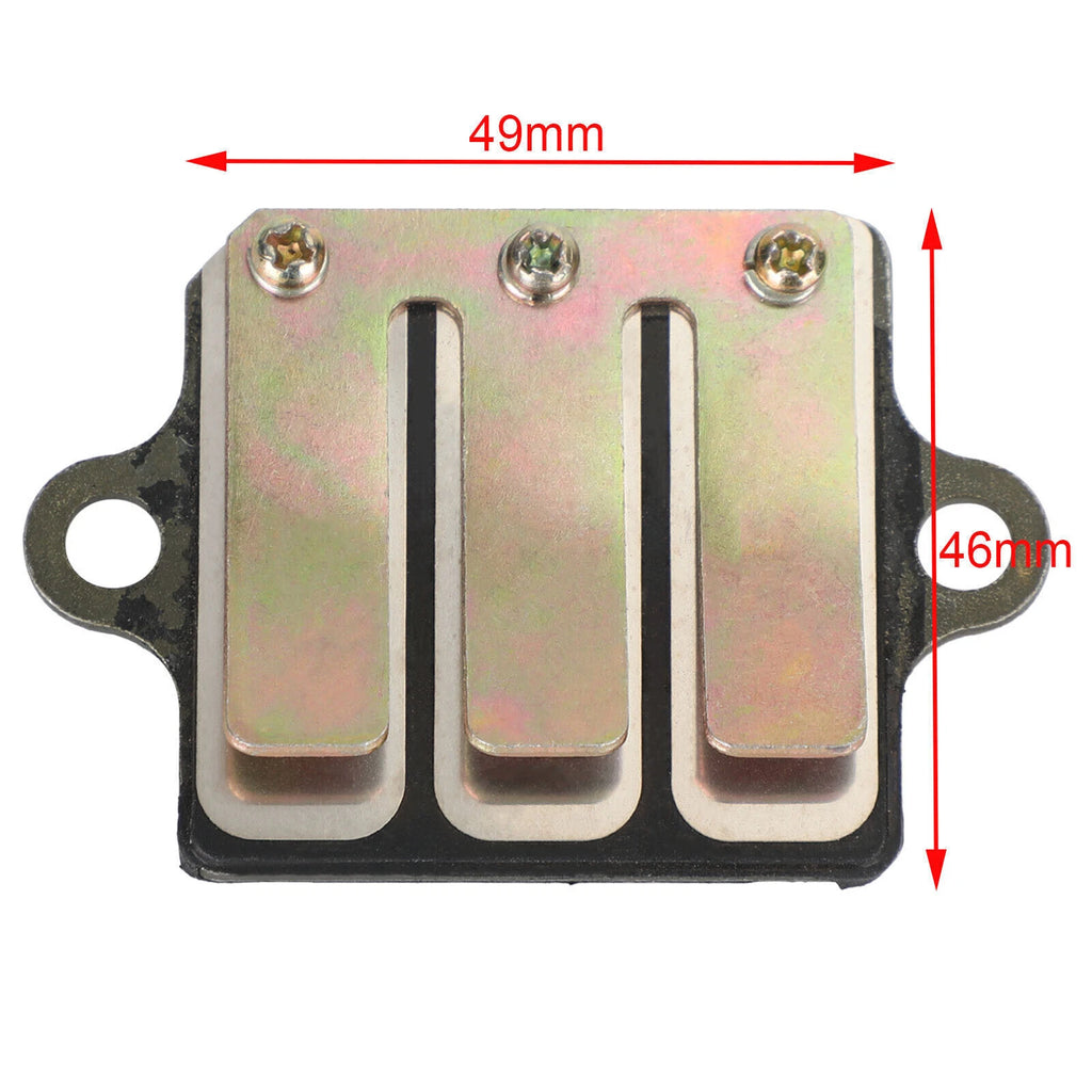 Inlet Reed Valve for Suzuki AX100 (T9)