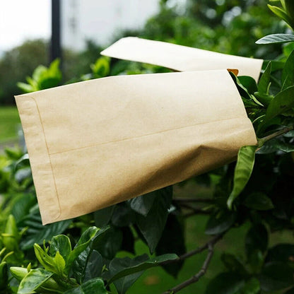 Set of 50 Kraft Paper Seed Packets Mini Envelopes 6x11cm
