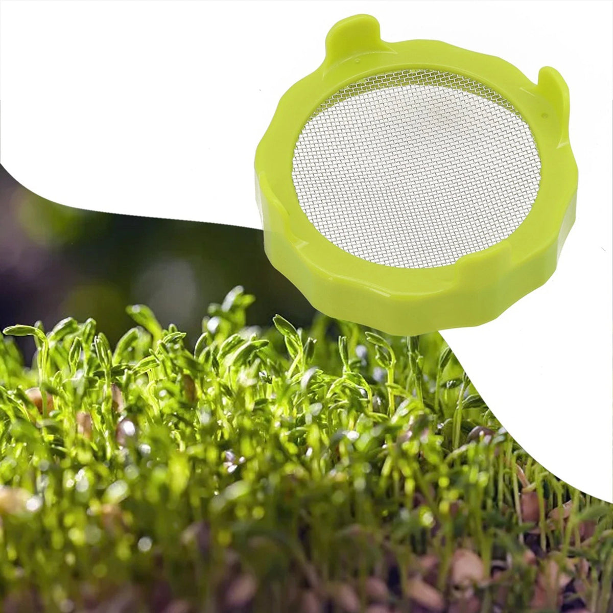 Germination Cover for Greenhouse Seedlings (9x9x2cm)
