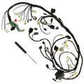 Caltric Wiring Harness Replacement for Honda (2000–2001)