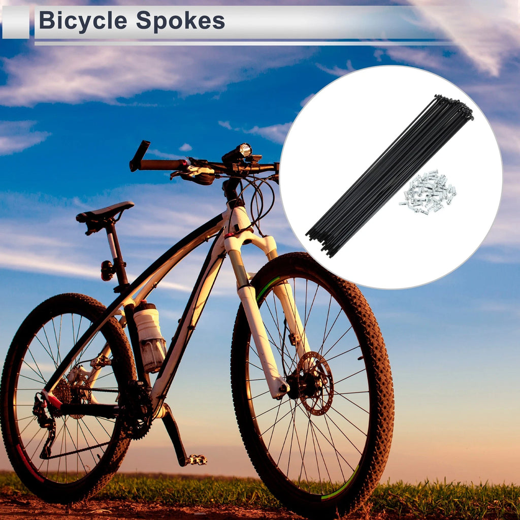 Spoke Set 12G 245mm Carbon Steel Replacement for Universal Bicycle (All Years)