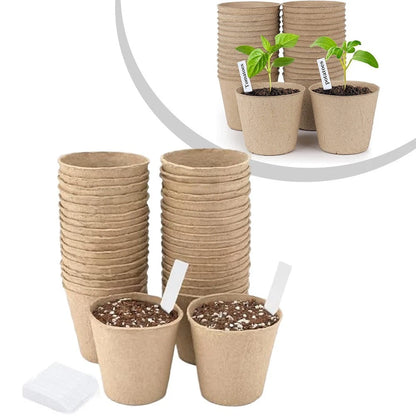 Biodegradable Flower Pots for Garden Enthusiasts
