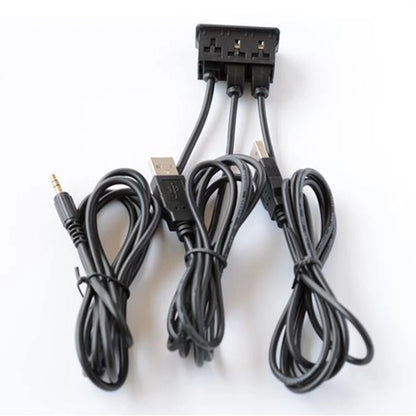 Dual USB Interface Charging and AUX Extension Cord for