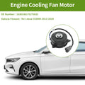 Radiator Fan Motor Replacement for Lexus ES300h (2013–2018)
