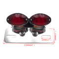 LED Tail Light for Motorcycle (Custom)
