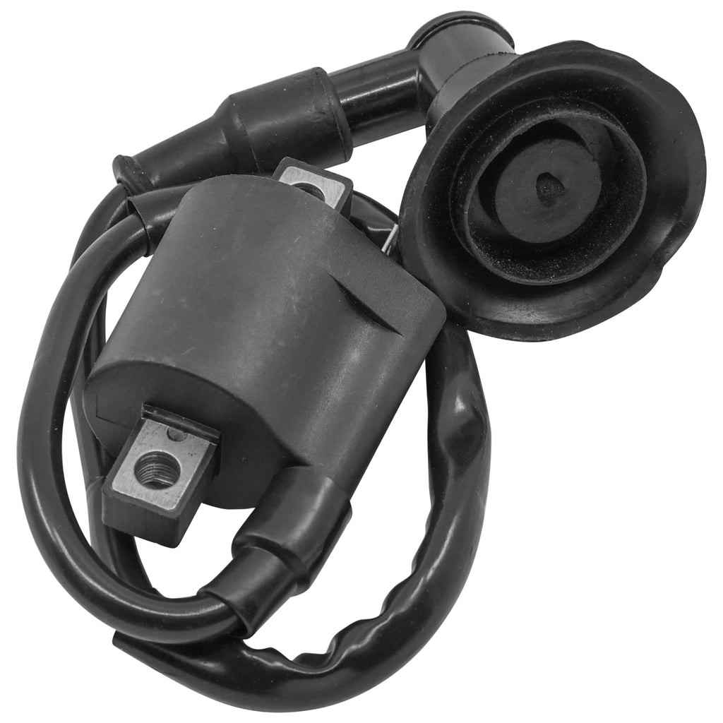 Ignition Coil Replacement for Bombardier Can Am (2007–2018)