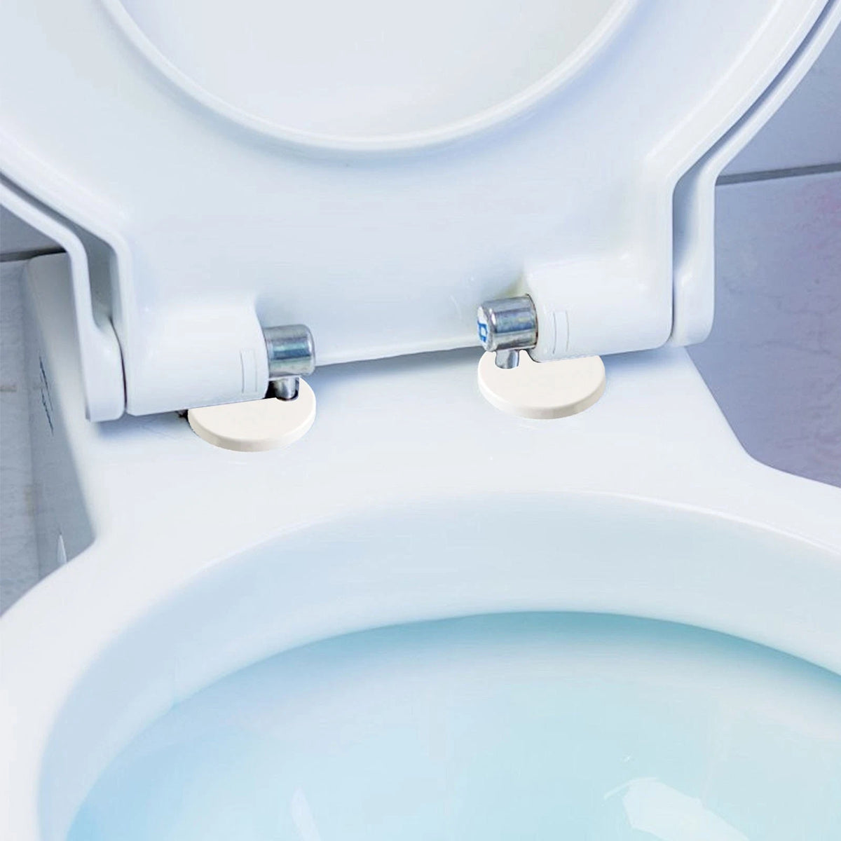 Toilet Cover Screws for Bathroom Decor (No Year Range Provided)