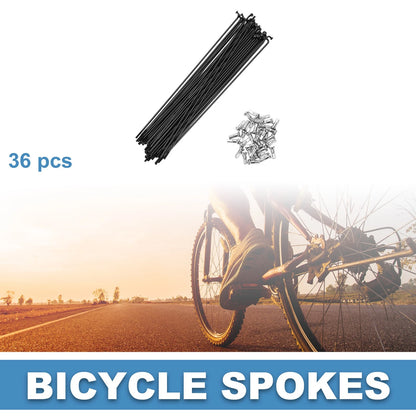 Spokes 14G 195mm Steel Black Replacement for Mountain Bike (195–195)