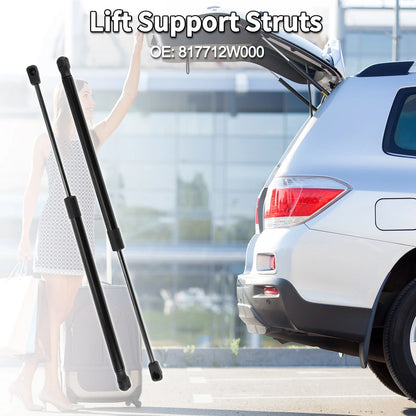 Rear Hatch Lift Supports Struts Replacement for Hyundai Santa Fe (2013-2014)
