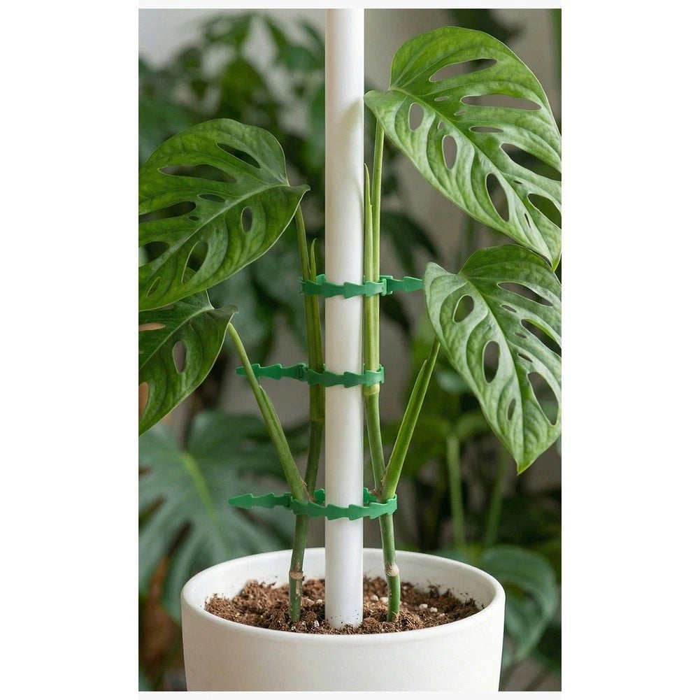 100pcs Adjustable Green Plant Ties for Vines Flowers