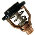 Thermostat for Yamaha LF 300 350 A B C HP Outboard Motors (6AW-12411-00)