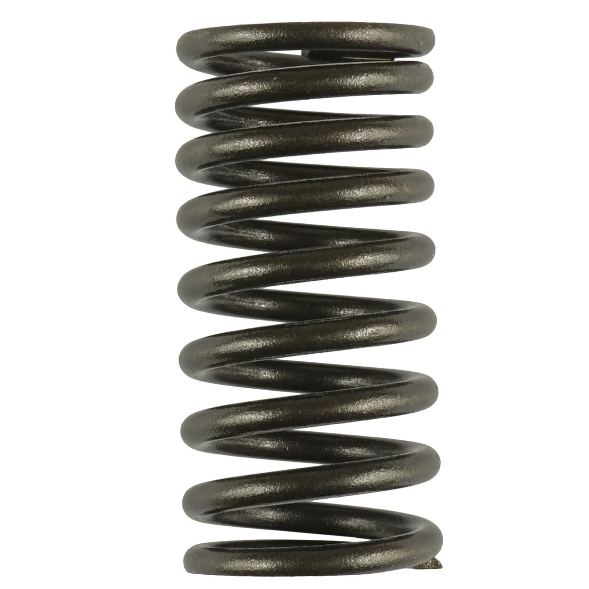 Valve Spring Replacement for Honda (14751-HN2-000) (Width 24mm) (2000–2015)