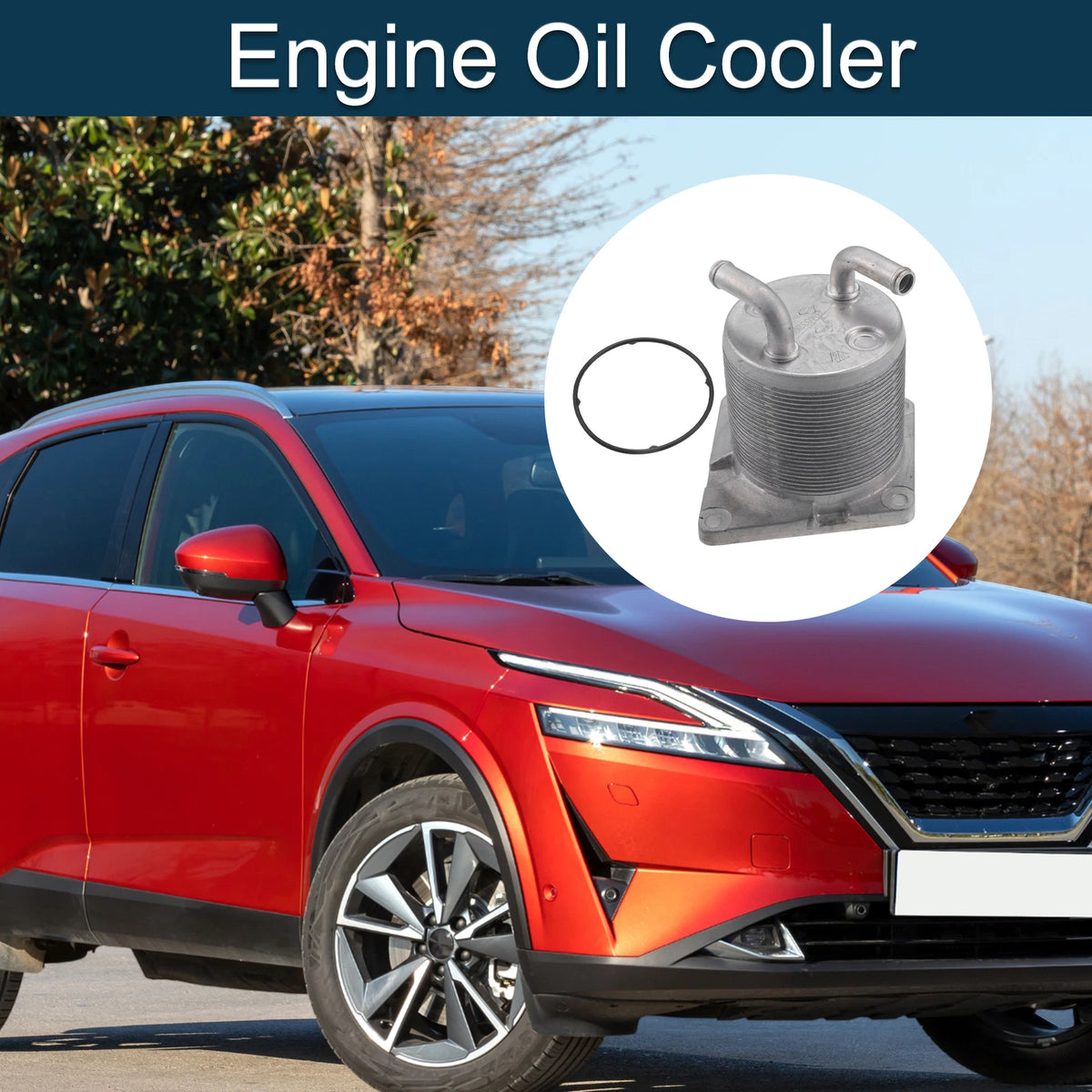 Engine Oil Cooler with Seals for Nissan Rogue (No. 7200756)