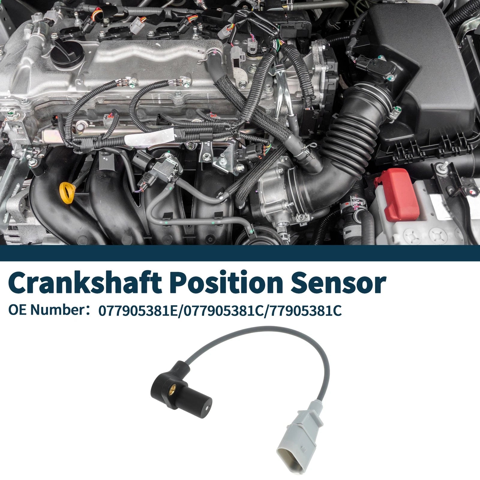 Crankshaft Position Sensor Replacement for Audi A8 Quattro 4.2 (1997–1999)