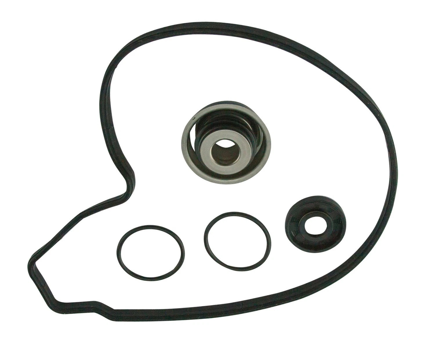 Water Pump Rebuild Repair Kit for SeaDoo 4-Tec (2002–2017)