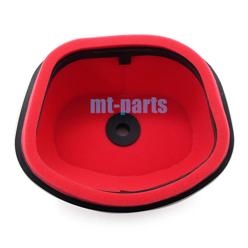 Air Filter Element for Bosuer BSE M5 M-5 250L (2019)