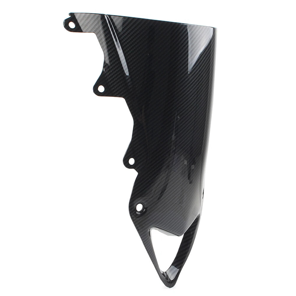 Windshield ABS for BMW S1000RR (2010–2014) Carbon Fiber Black