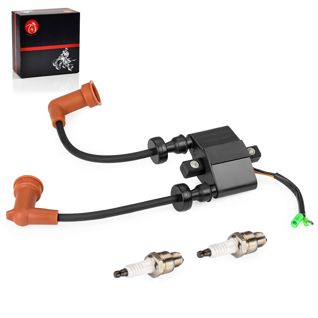 Ignition Coil Set of 2 for Yamaha F 15 20 25 25 T25 (2006–2017)
