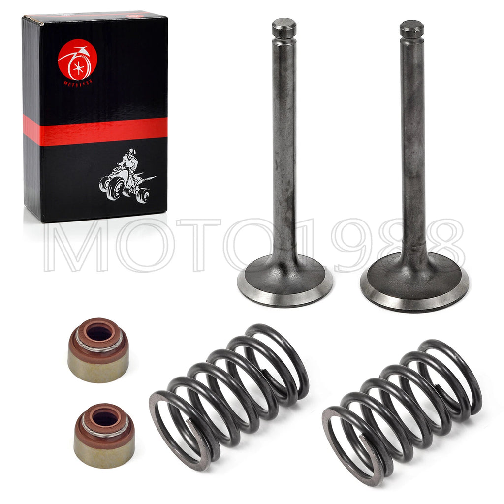 Intake Exhaust Valve Set with Seals & Springs for Club Car DS (1992–Up)