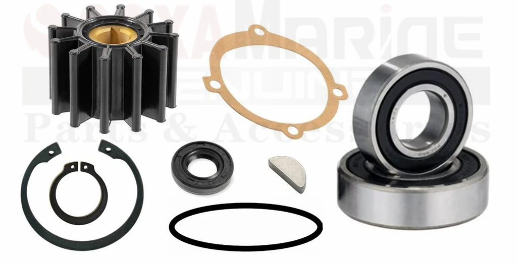 Minor Repair Kit for P1014 P1015 P1016 (Replaces Sherwood 23976)