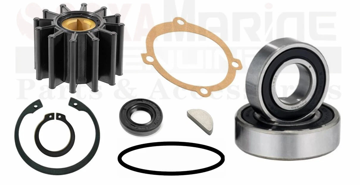 Minor Repair Kit for P1014 P1015 P1016 (Replaces Sherwood 23976)