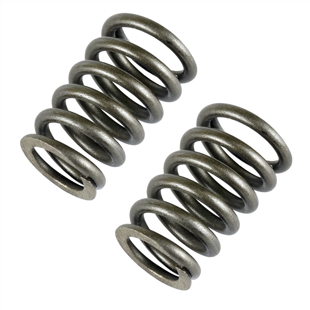 Valve Springs Replacement Set for CanAm 420239292 (2013–2019)