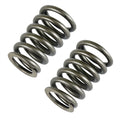 Valve Springs Replacement Set for CanAm 420239292 (2013–2019)