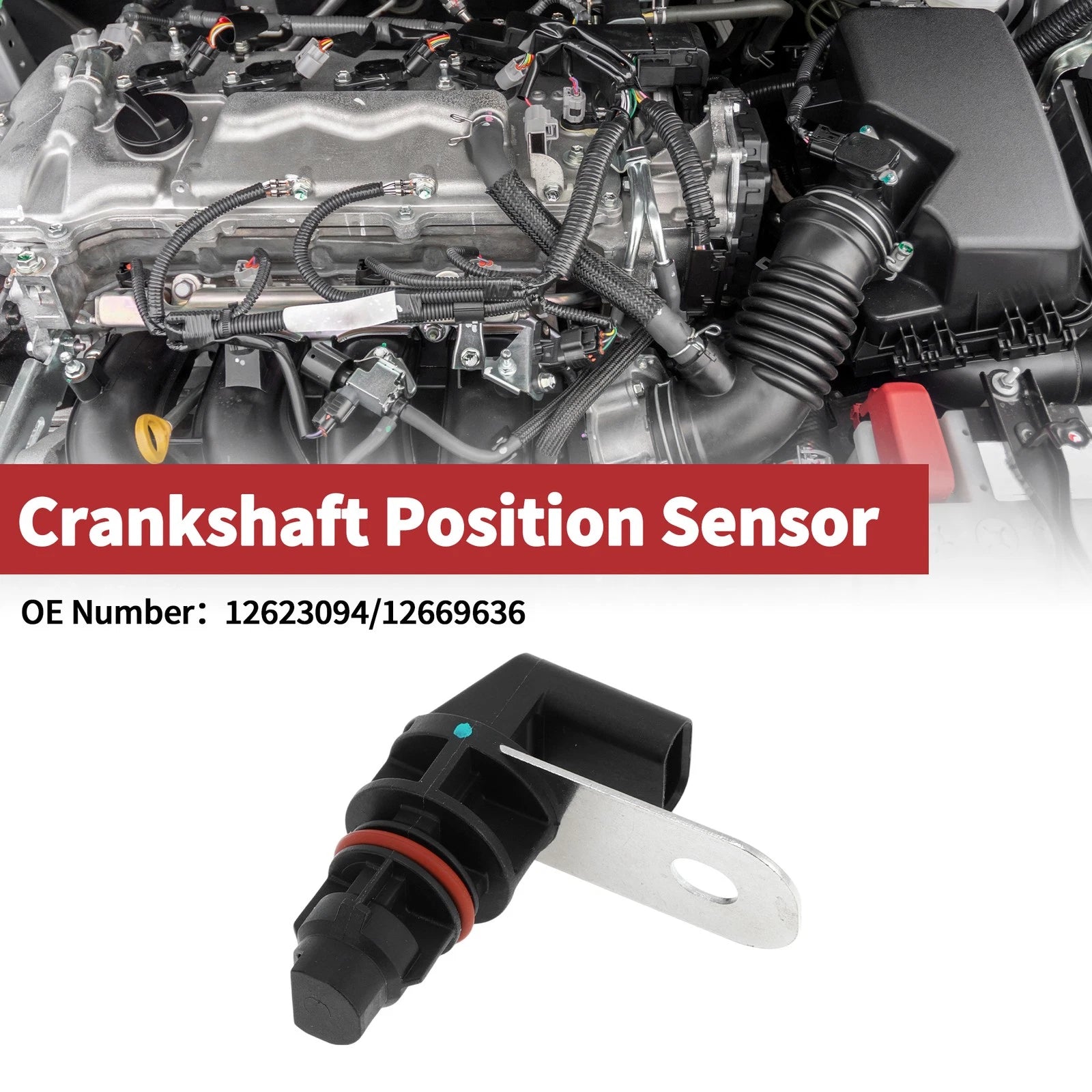 Crankshaft Position Sensor for Chevrolet Corvette C7 6.2L (2014–2020)